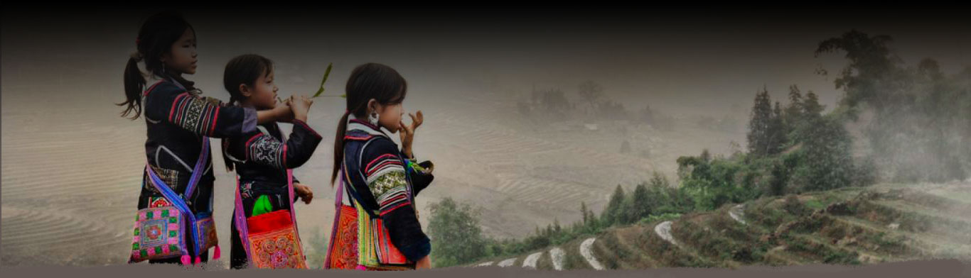 Thai-Lahu Development Foundation (TLDF)